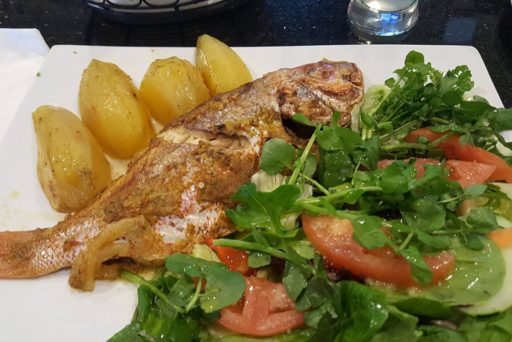 13051753_1217470668284164_2645786967509095969_n